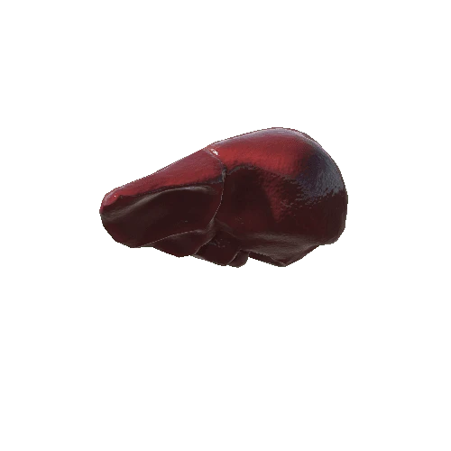 Liver_1_skin_1