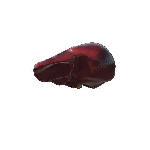 Liver_1_skin_2