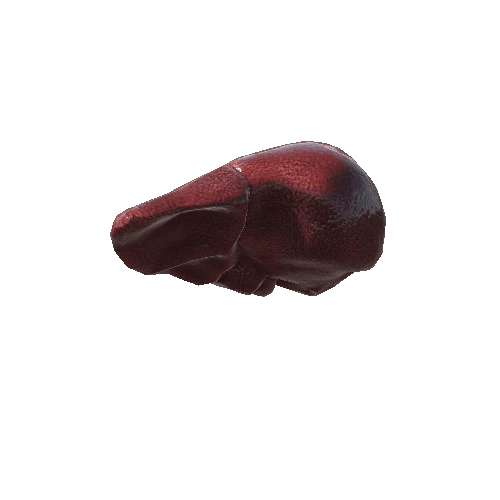 Liver_1_skin_3