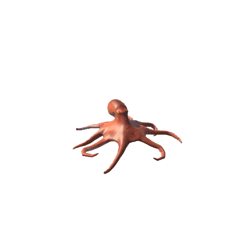 A_Octopus_Idle