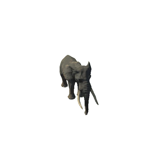 elephant_ii_sv_rm_HP_mat3