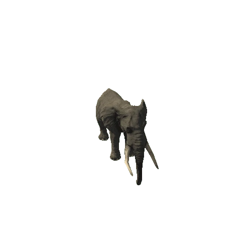 elephant_ii_sv_rm_SLP