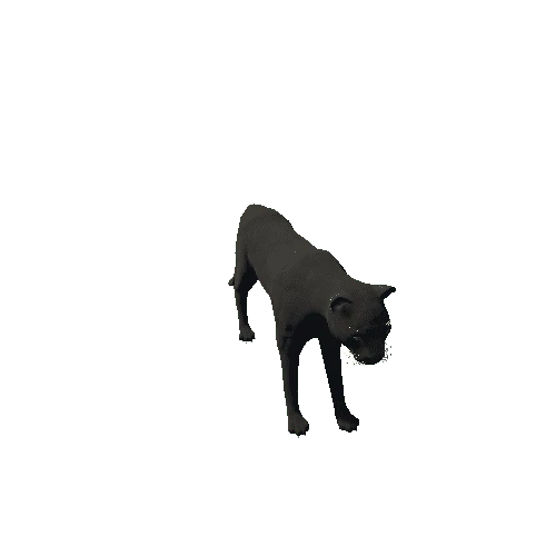 panther_hi