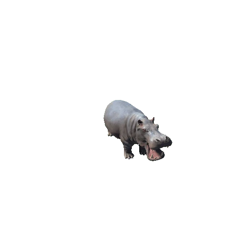 hippopotamus_SV_IP_HP