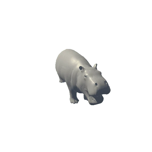 hippopotamus_baby_fv_rm_MX