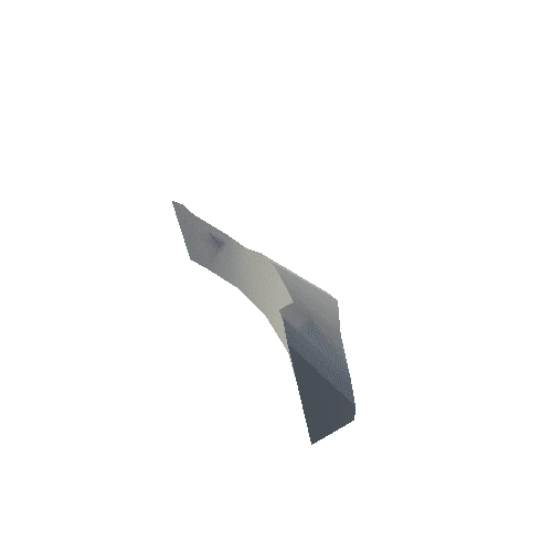 White_Front_Wing_4