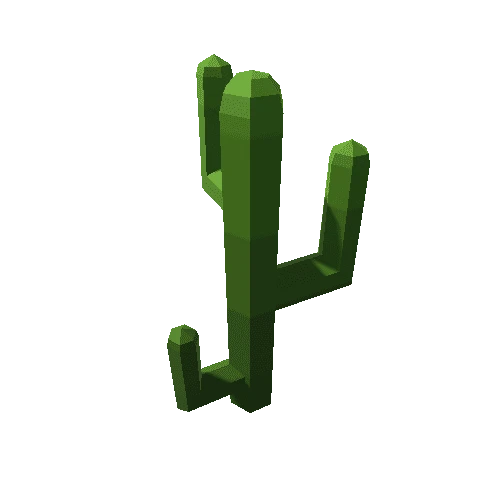 cactus_04