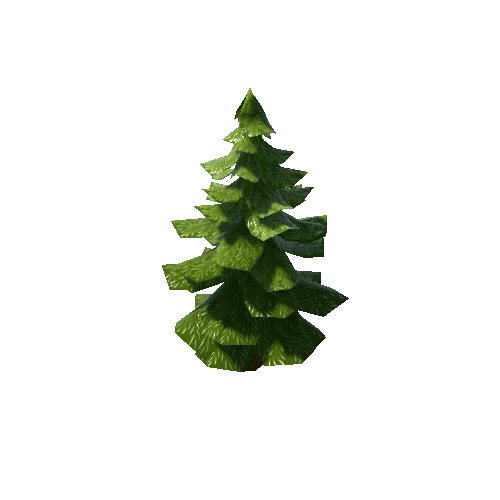 Pine_tree_double