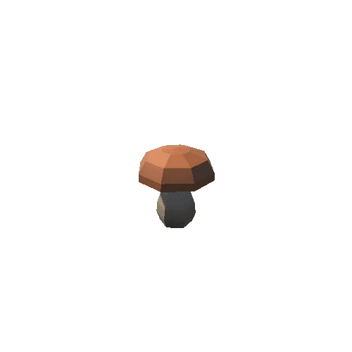 Bolete_05