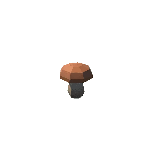 Bolete_06