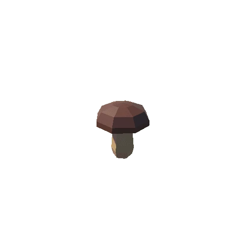 Bolete_11