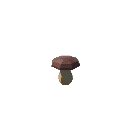 Bolete_16