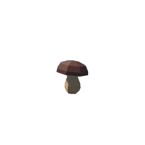 Bolete_17