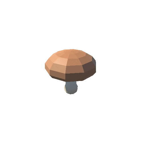 Champignon_03