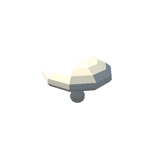 Champignon_11