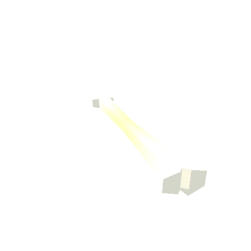 Bone