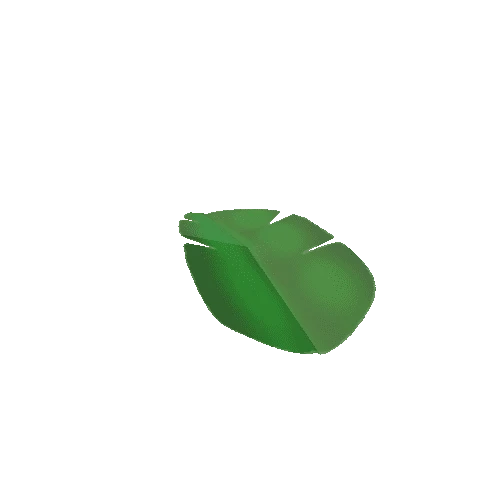 Leaf_Style_C