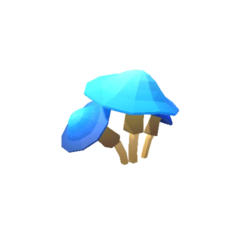 Mushroom_C