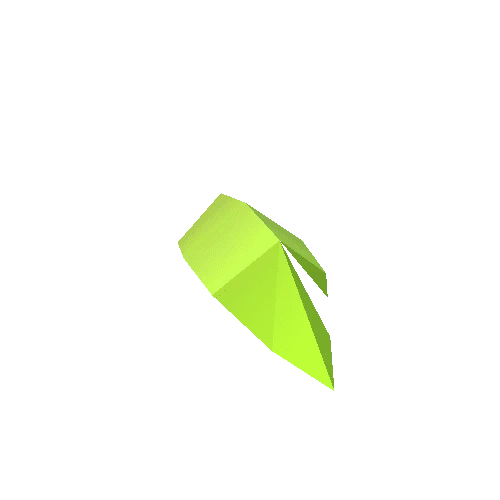 Palm_Leaf_B