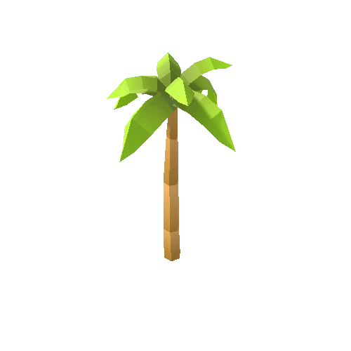 Palm_Tree_C