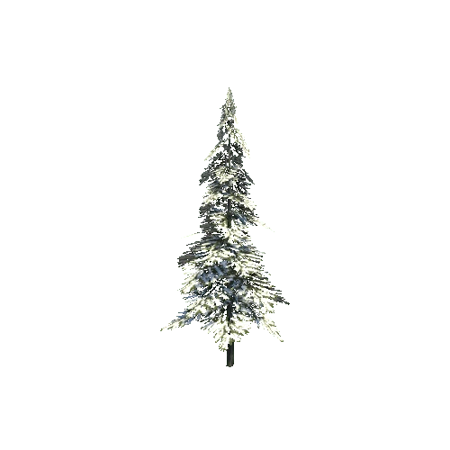 Tree16_Snow