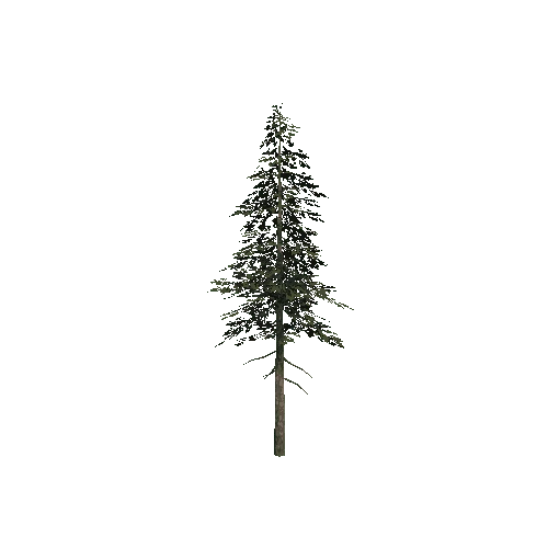 Tree3_LOD