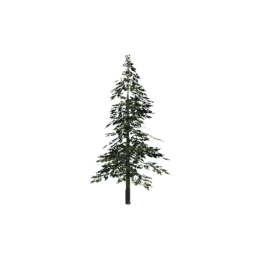 Tree5