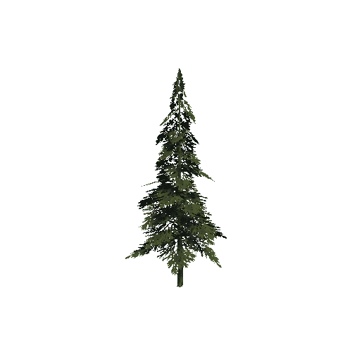 Tree9