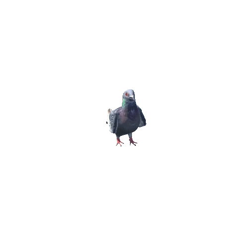PigeonLOD0-prefab