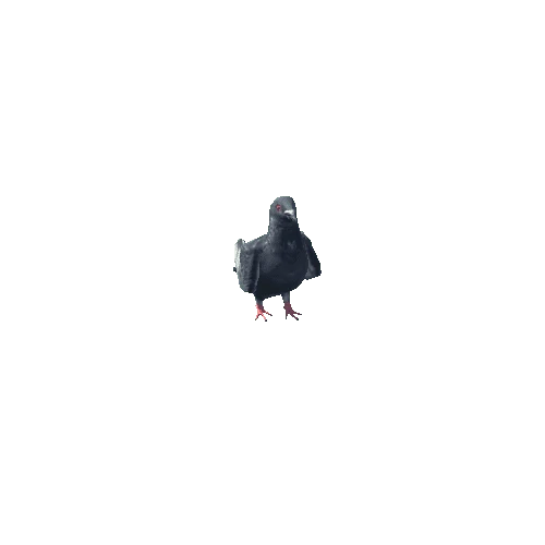 PigeonLODs-C