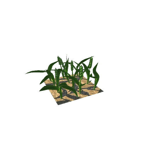 Barley_LowPoly_Stage2