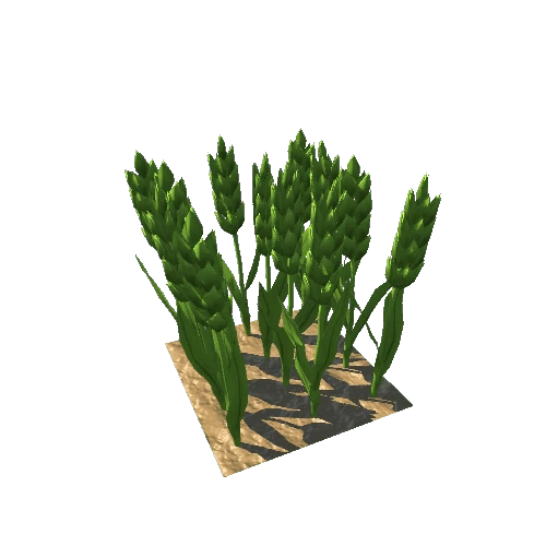 Barley_LowPoly_Stage3