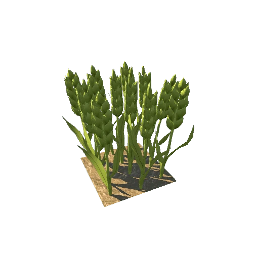 Barley_LowPoly_Stage4