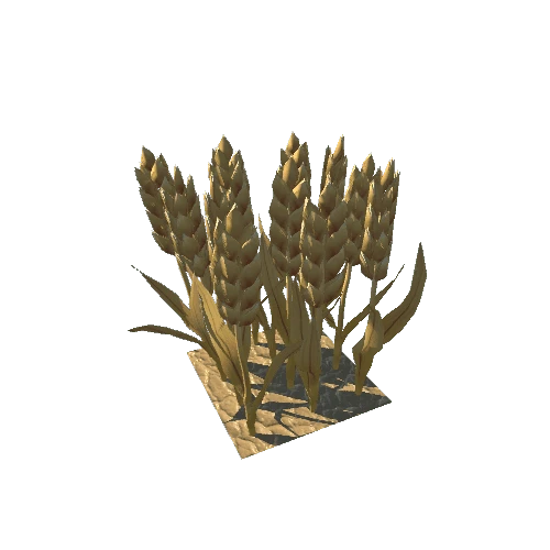 Barley_LowPoly_Stage5