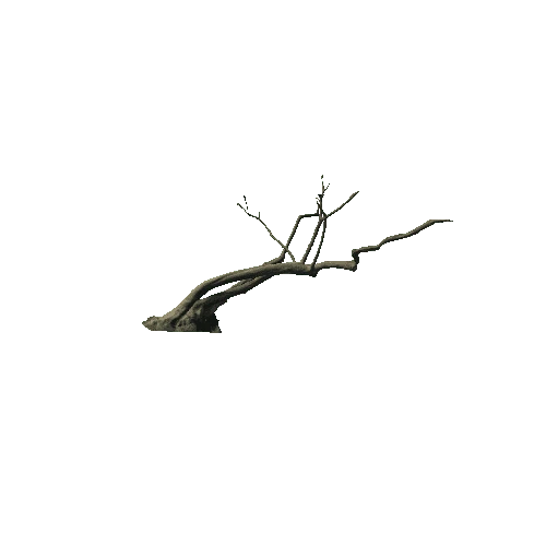 DeadTree01