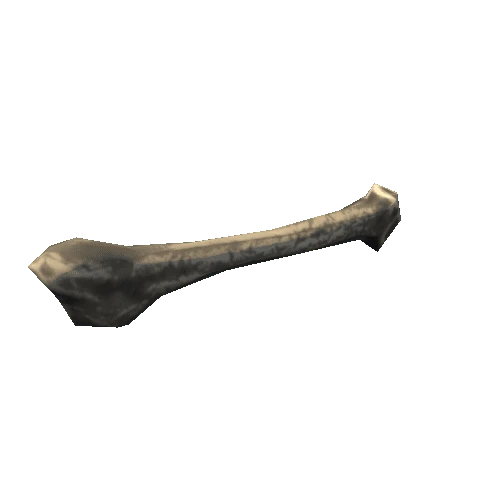 Bone_05