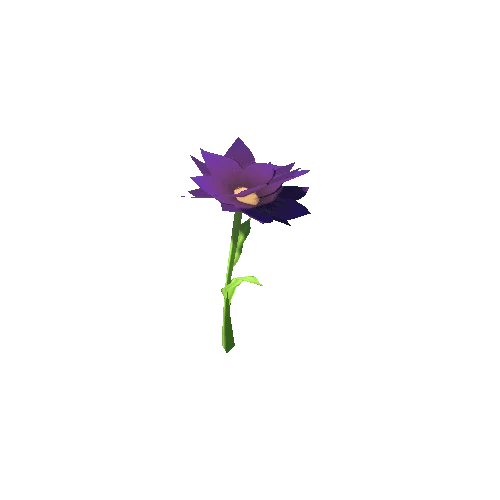 Flower_02_b