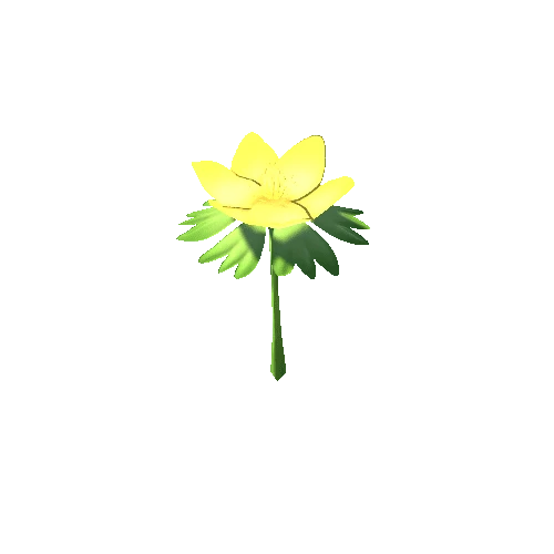 Flower_06_b