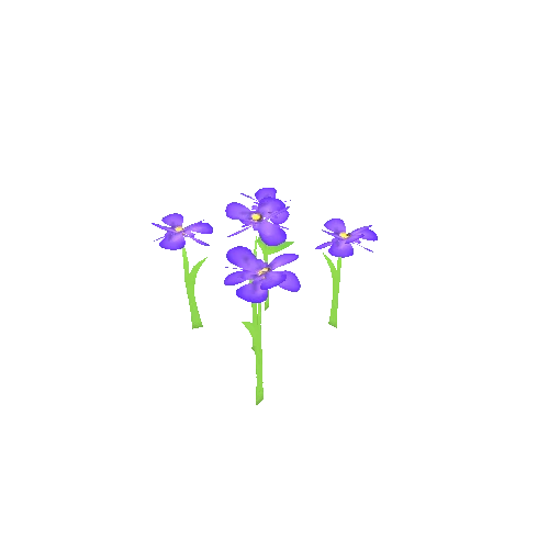 Flower_11_LOD