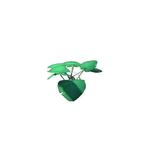 Plant_01