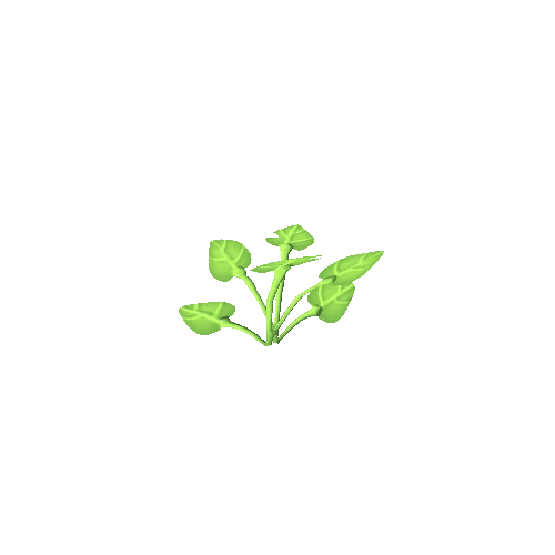 Plant_02_b