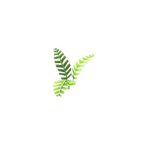 Plant_03