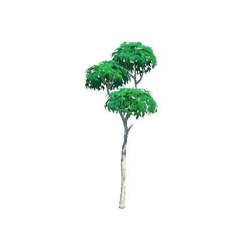 Tree_02_a