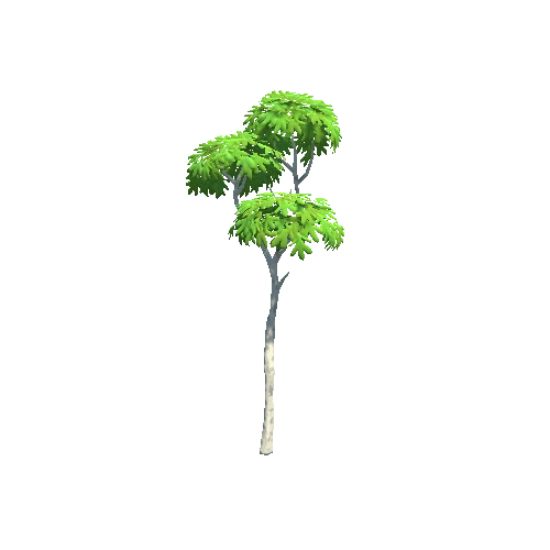 Tree_02_b_P