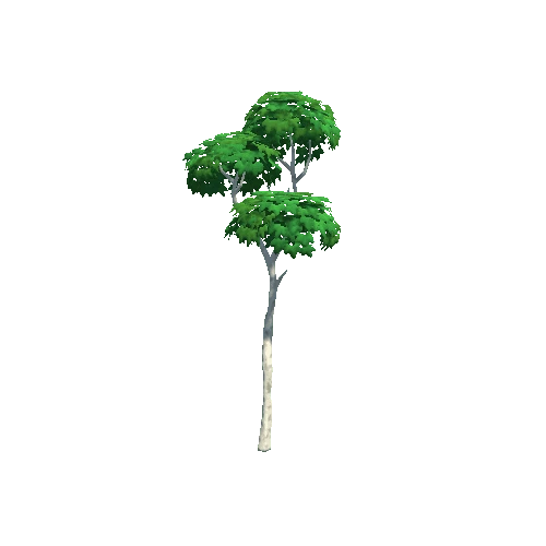 Tree_02_e