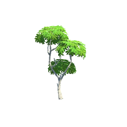 Tree_03_b