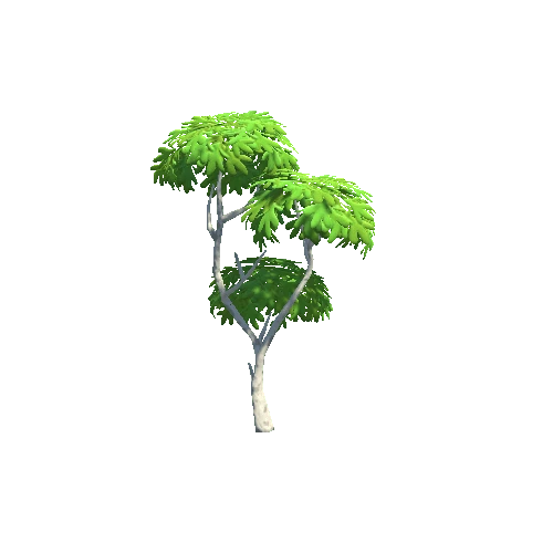 Tree_03_b_P