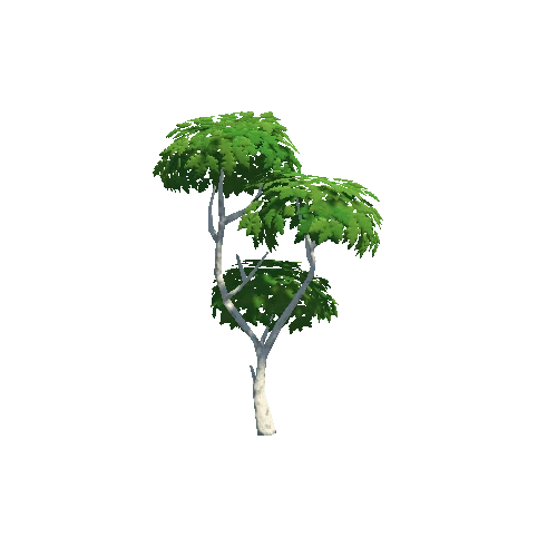 Tree_03_d