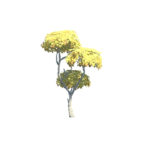 Tree_03_h