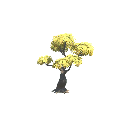 Tree_04_h_P